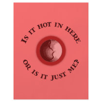 Hot in Here flyers