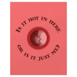 Hot in Here flyers