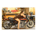 Hot Model + A Hot Classic Dragbike posters