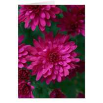 Hot Mum! cards by lioneyes Hot Mum! cards