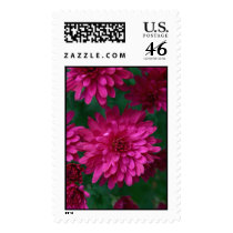 Hot Mum! postage