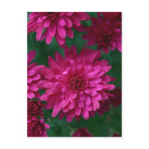 Hot Mum! postcards by lioneyes Hot Mum! postcards
