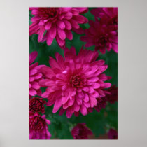 Hot Mum! posters