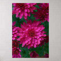 Hot Mum! Print