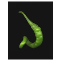 Hot Pepper 5 flyers by jarthurdavis Hot Pepper 5 flyers