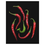 Hot Pepper 6 Custom Letterhead