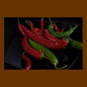 hot pepper_black posters by VioDePhoto hot pepper_black posters