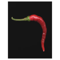 hot pepper flyers by jarthurdavis hot pepper flyers