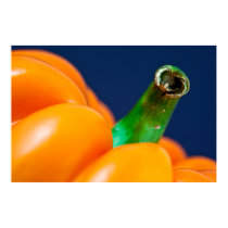 Hot Pepper Macro posters