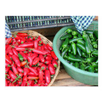 Hot Peppers Postcard