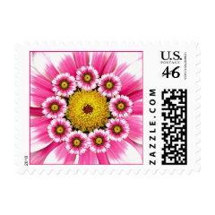 Hot Pink and Yellow Flower Postage Stamps