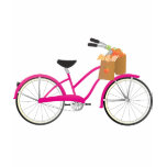 Hot PInk Bicycle with Oranges T Shirts