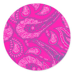Hot Pink Blue Paisley Print Summer Fun Girly Stickers