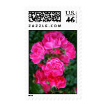 Hot Pink Bouquet postage