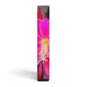 Hot Pink Cactus Flower Binders