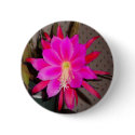Hot Pink Cactus Flower