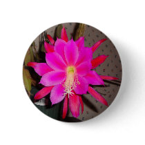 Hot Pink Cactus Flower
