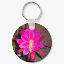 Hot Pink Cactus Flower