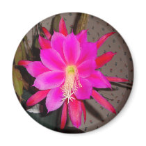 Hot Pink Cactus Flower Fridge Magnets