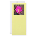 Hot Pink Cactus Flower Full Color Rack Card
