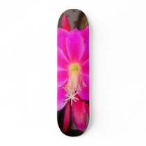 Hot Pink Cactus Flower