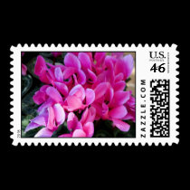 Hot Pink Cyclamen postage by kokobaby Hot Pink Cyclamen postage