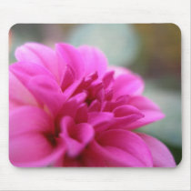 Hot Pink Dahlia mousepads by dannamarie72 Hot Pink Dahlia mousepads