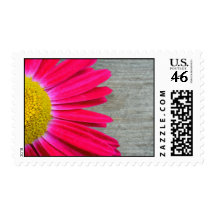 Hot Pink Daisy & Barnwood Postage
