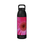 Hot Pink Daisy Drinking Bottle