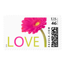 Hot Pink Daisy Gerbera Love Stamps