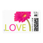 Hot Pink Daisy Gerbera Love Stamps