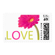 Hot Pink Daisy Gerbera Love Stamps