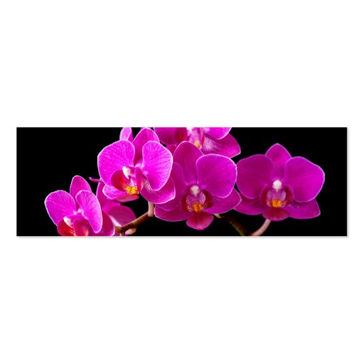 Hot Pink Dendrobium Orchid Flower Orchids Template Business Card (front side)