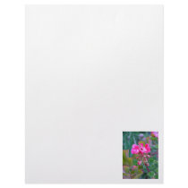 Hot pink flowers beautiful colorful garden photo letterhead