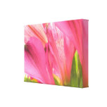 Hot Pink Flowers Floral Prints on Wrapped Canvas Stretched Canvas Prints