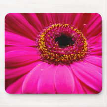 hot pink gerber daisy mouse pads