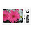 Hot Pink Gerber Daisy Stamp by bkang22 Hot Pink Gerber Daisy Stamp