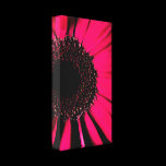 Hot Pink Gerber Daisy Wrapped Canvas Print canvas prints