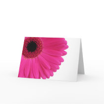 Hot Pink Gerbera Cards