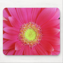Hot Pink Gerbera Daisy Mousepad mousepads