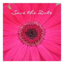 Hot Pink Gerbera Daisy Save the Date Invitation