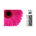 Hot Pink Gerbera postage
