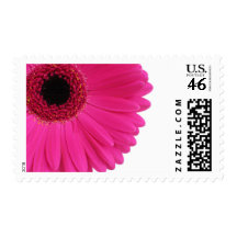 Hot Pink Gerbera Stamp