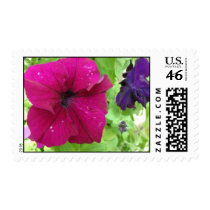 Hot Pink Hello stamps