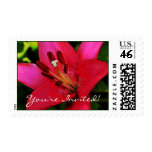 Hot Pink Lily RSVP Postage Stamps