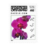 Hot Pink Lily RSVP Stamp