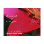 Hot Pink Lily- Save the Date Post Card