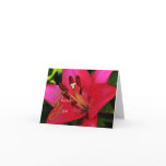 Hot Pink Lily Thank You Greeting Card