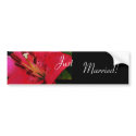 Hot Pink Lily Wedding Bumper Sticker bumper stickers