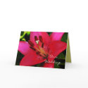 Hot Pink Lily  Wedding Invitation cards